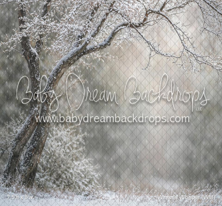 Winter's Whisper (WM)