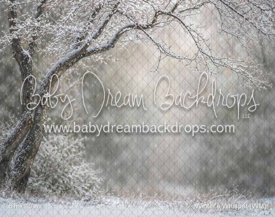 Winter's Whisper (WM)
