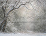 Winter's Whisper (WM)