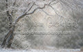 Winter's Whisper (WM)