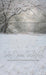Winter's Whisper Sweep (WM)