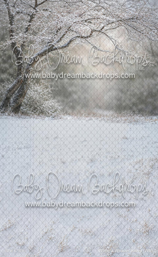 Winter's Whisper Sweep (WM)