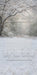 Winter's Whisper Sweep (WM)