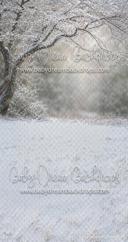 Winter's Whisper Sweep (WM)