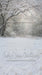 Winter's Whisper Sweep (WM)