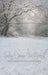 Winter's Whisper Sweep (WM)