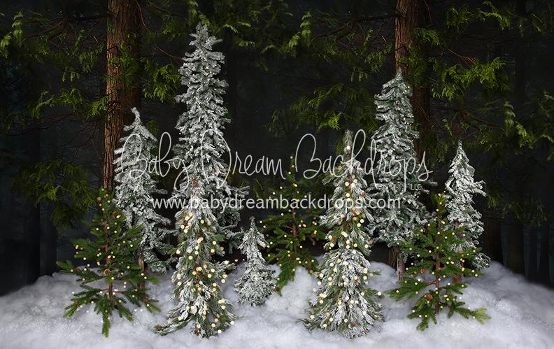 Winter Trees (Lights)