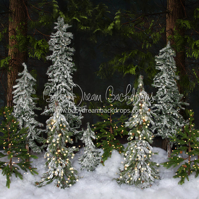 Winter Trees (Lights)