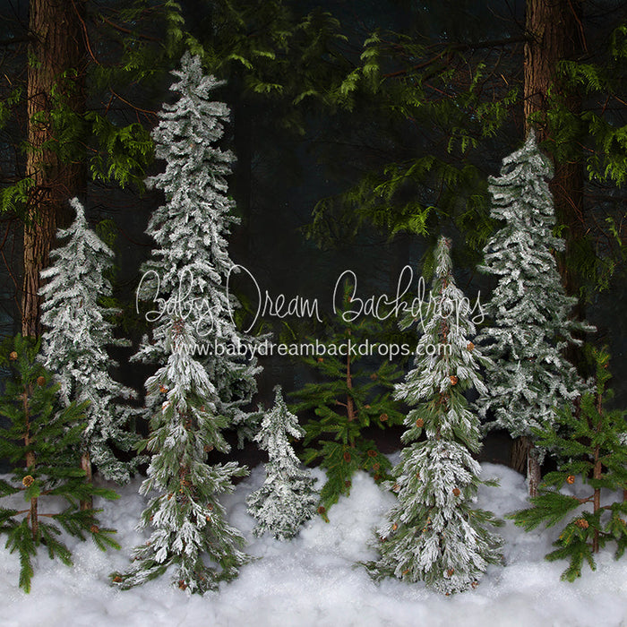 Winter Trees (No Lights) 