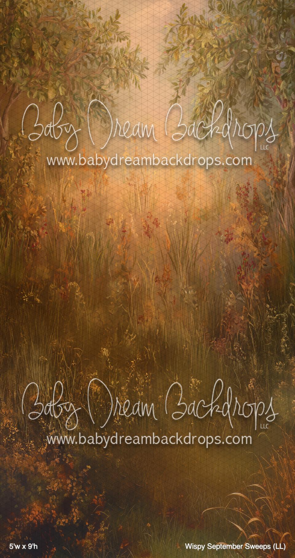 Wispy September Sweeps (LL) — Baby Dream Backdrops