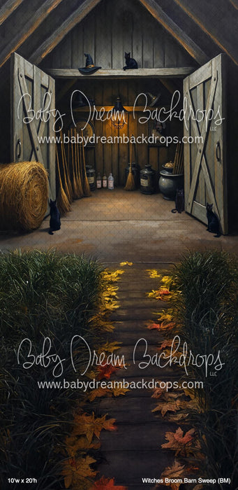 Witches Broom Barn Sweep (BM)