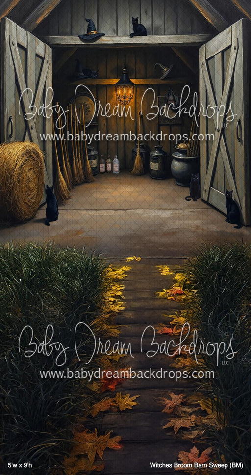 Witches Broom Barn Sweep (BM)