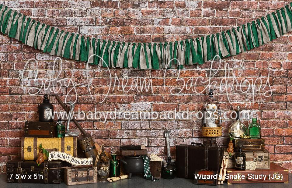 Wizard's Snake Study (JG)