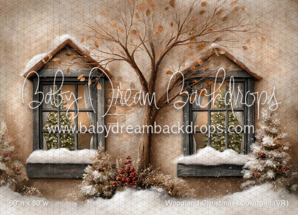 Woodland Christmas Looking in (VR)