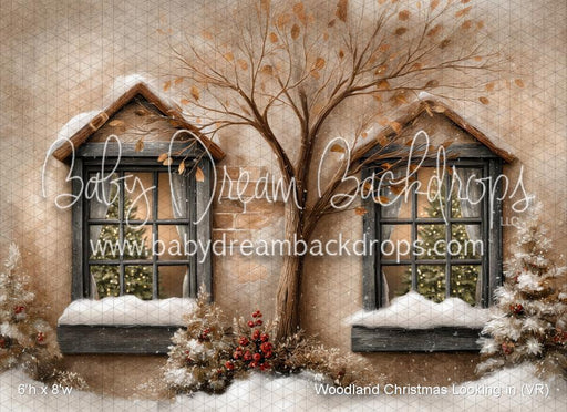 Woodland Christmas Looking in (VR)