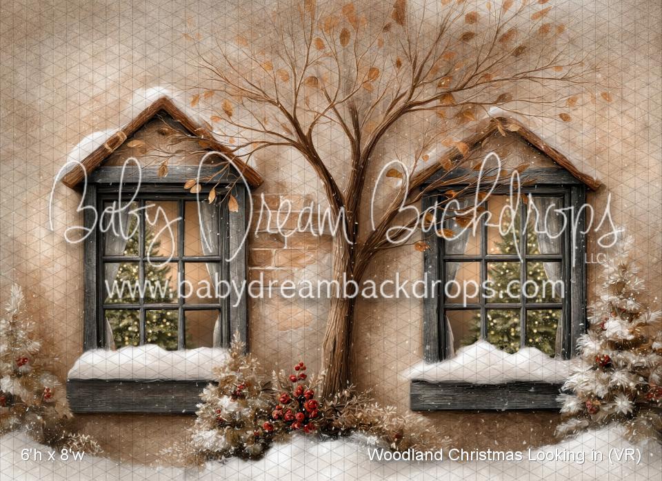 Woodland Christmas Looking in (VR)