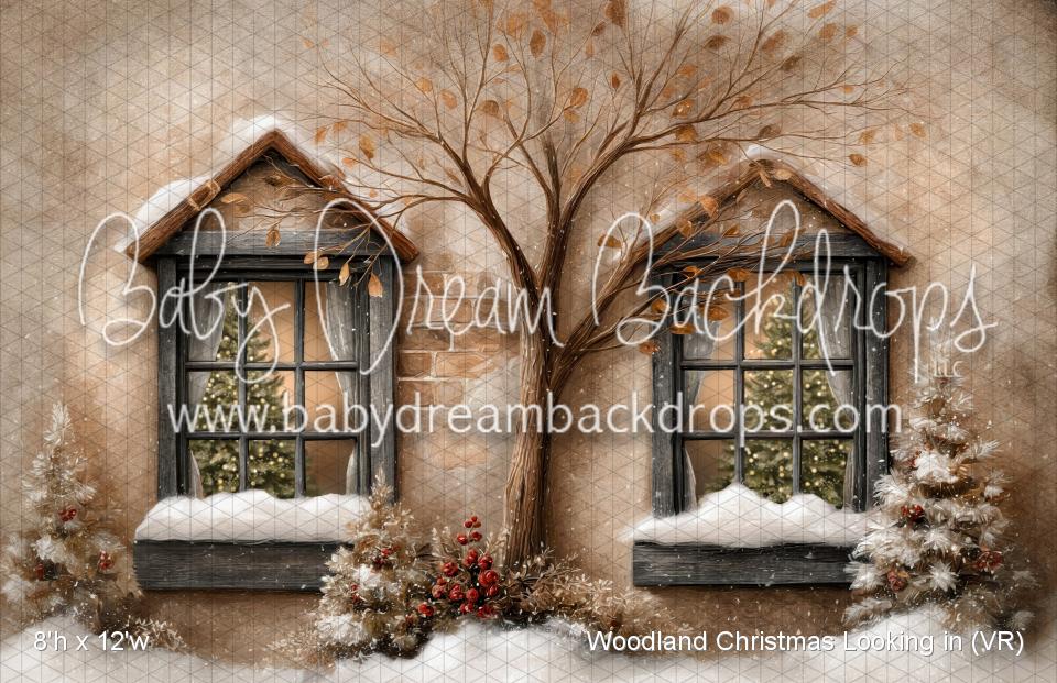 Woodland Christmas Looking in (VR)