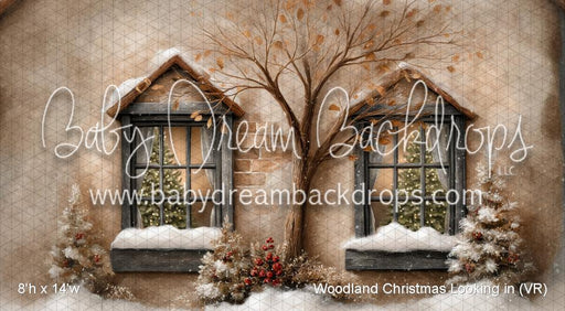 Woodland Christmas Looking in (VR)
