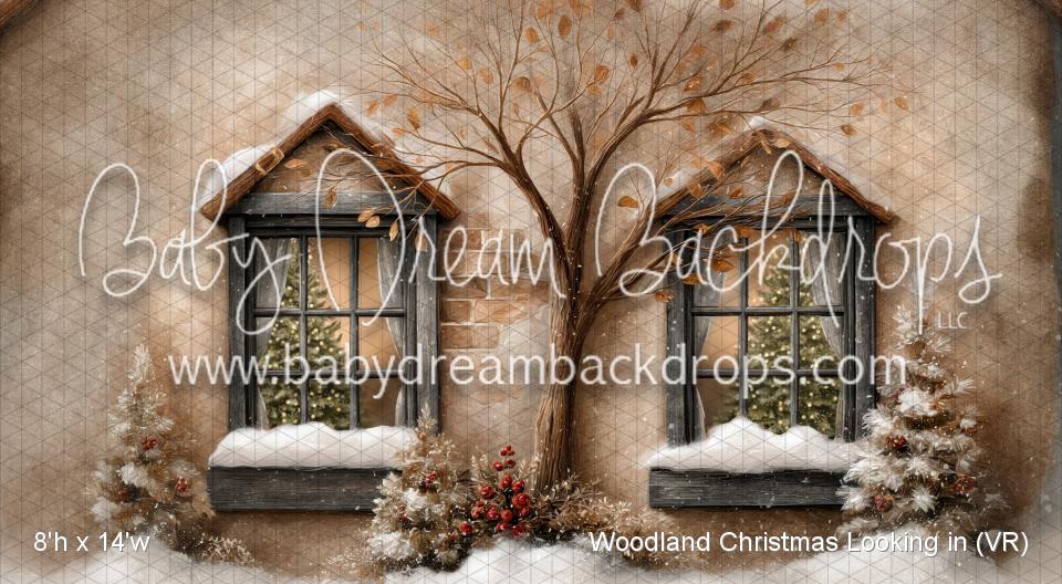 Woodland Christmas Looking in (VR)