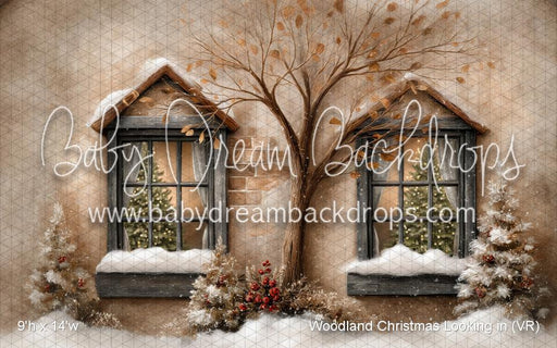 Woodland Christmas Looking in (VR)