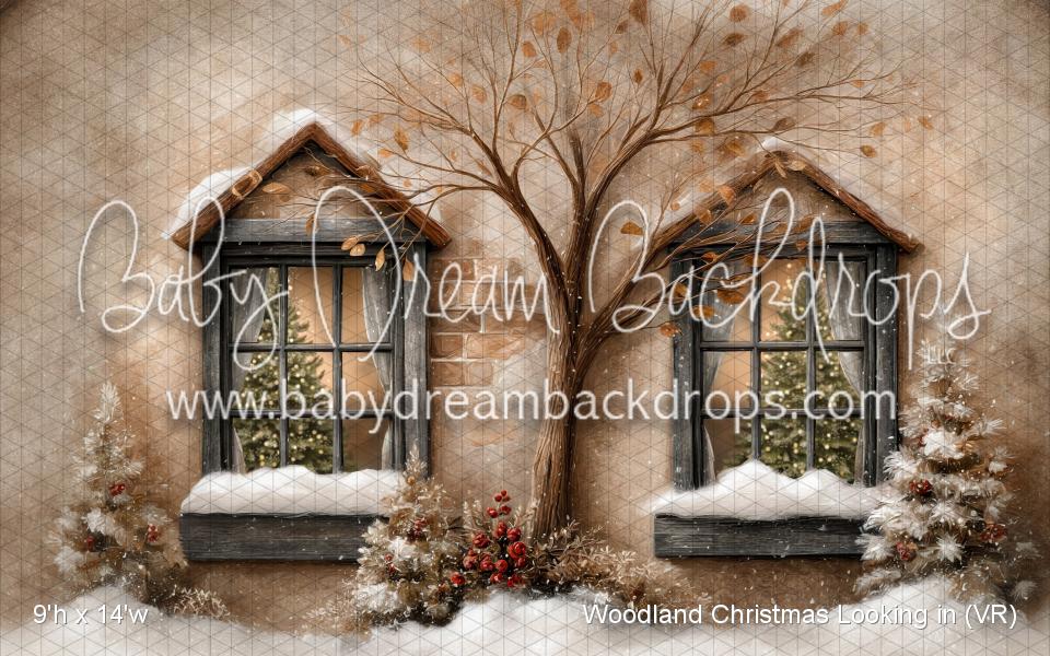 Woodland Christmas Looking in (VR)