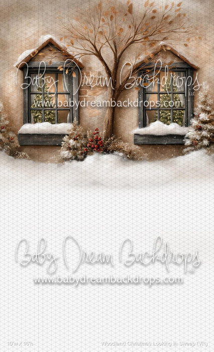 Woodland Christmas Looking in Sweep (VR)