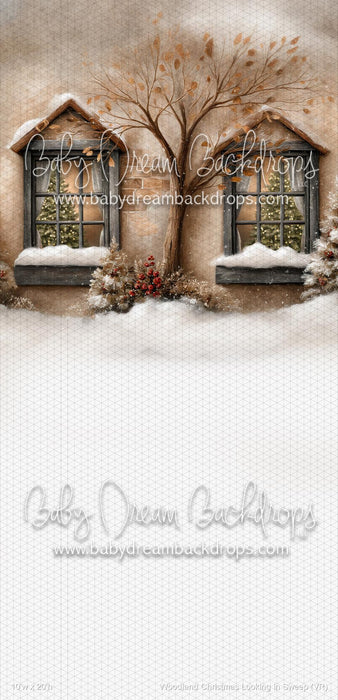 Woodland Christmas Looking in Sweep (VR)