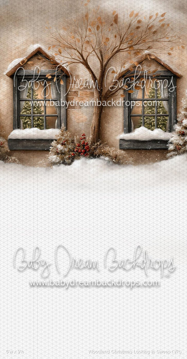 Woodland Christmas Looking in Sweep (VR)