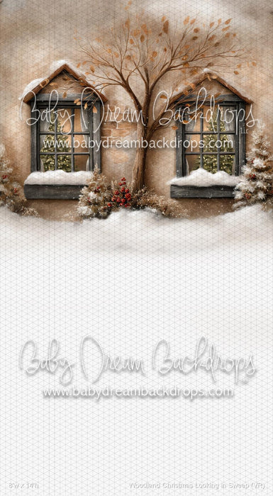 Woodland Christmas Looking in Sweep (VR)