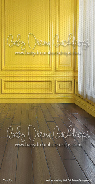 Yellow Molding Wall 3d Room Sweep (WM)