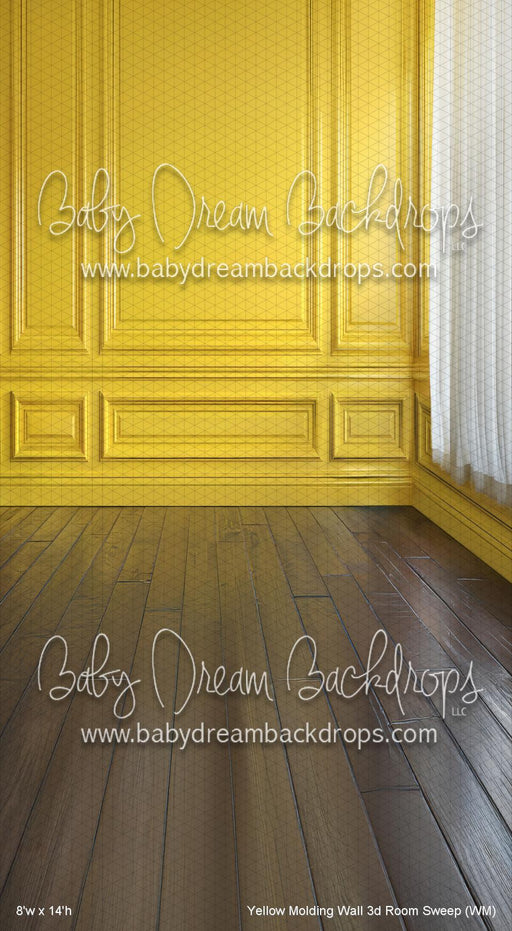 Yellow Molding Wall 3d Room Sweep (WM)