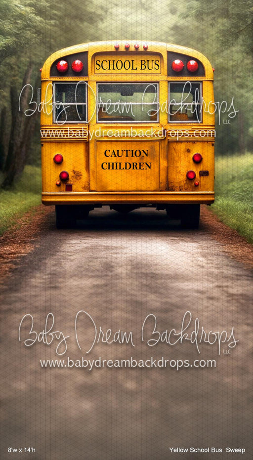Yellow School Bus  Sweep (VR)