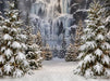 Yeti Country (CC)