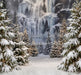 Yeti Country (CC)