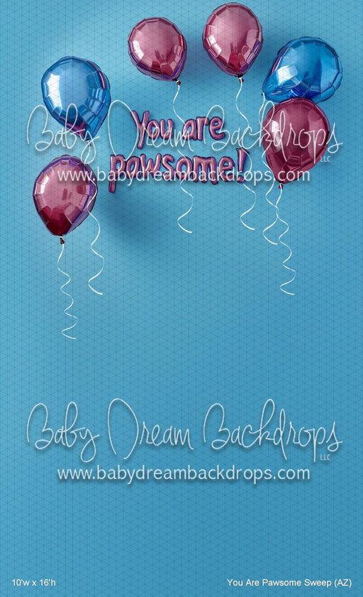 You Are Pawsome Sweep (AZ)