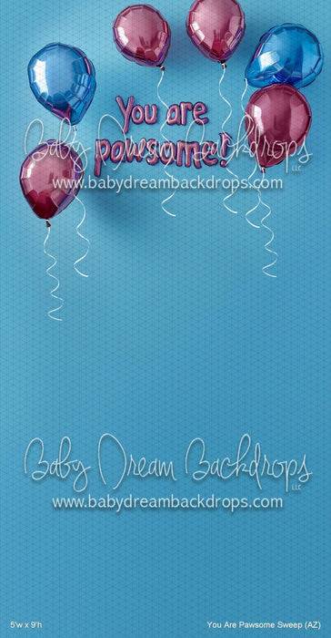 You Are Pawsome Sweep (AZ)