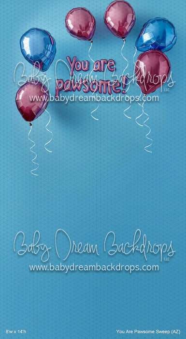 You Are Pawsome Sweep (AZ)