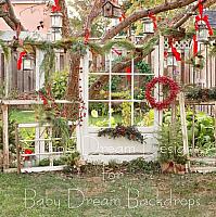 Christmas Window Frames