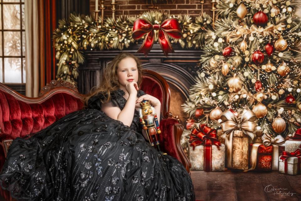 Christmas illustration (VR)