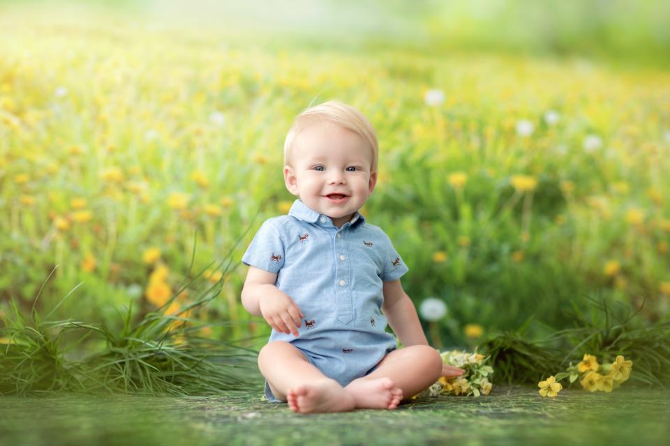 Dandelion Delight (CC)