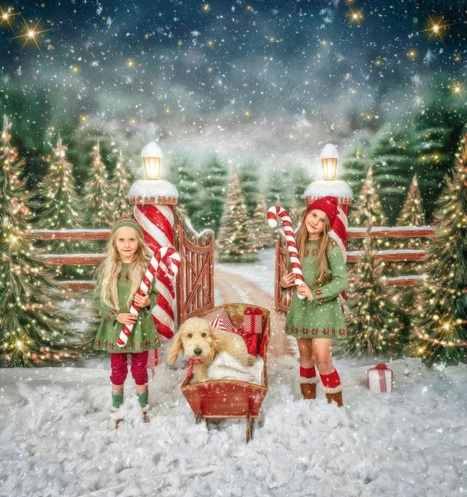 Dirt Road to Christmas (VR)