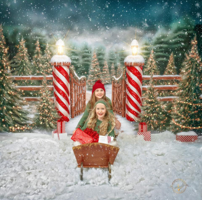 Dirt Road to Christmas (VR)