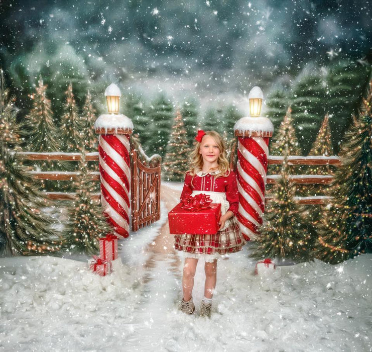 Dirt Road to Christmas (VR)