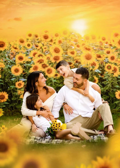 X Drop sweet sunflower field cc