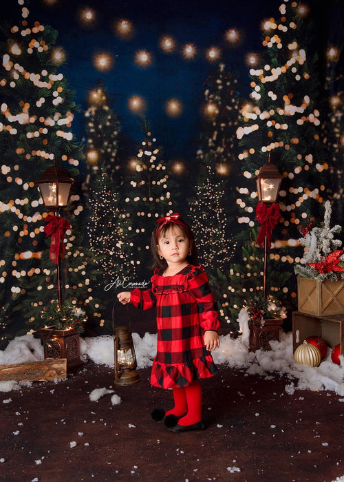 Tree Farm Eve Lights (Gritty) and Country Traditions Lights Fabric Room