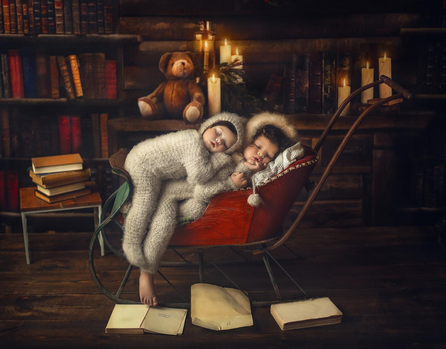 Claus Cabin Library (JA)