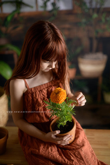 Gorgeous Green House (JA)