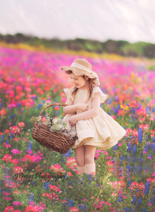 Chasing Wildflowers (BD)