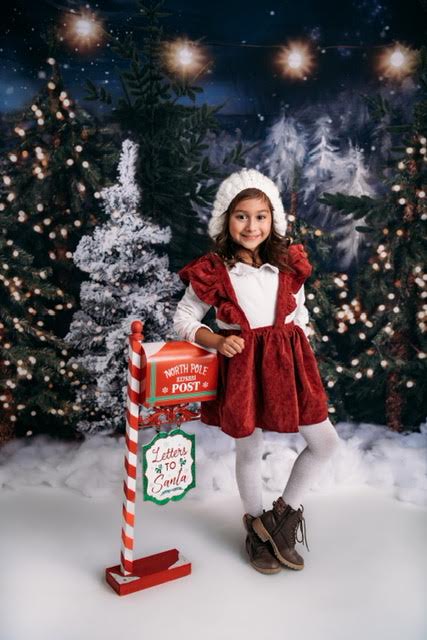 Northern Delights Trees Lights (BS)