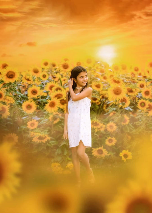 Sweet Sunflower Field (CC)